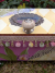 Lavendar Morning "Have Fun" Wish Box lavmorning_havefun_wb_1.jpg