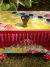 Strawberry Limeade "Faith" Wish Box sdc15352.jpg