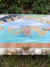 Seashore "Be Inspired" Wish Box sdc16429.jpg